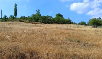 Bursa Büyükşehir Belediyesi Tarım Projeleriyle Atıl Araziyi Ekonomiye Kazandırıyor