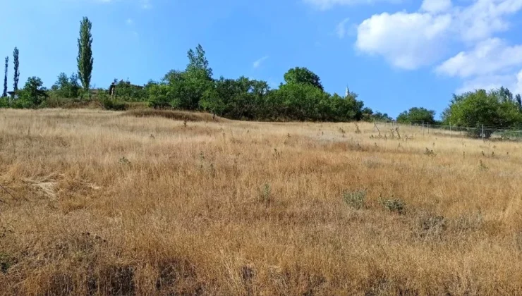 Bursa Büyükşehir Belediyesi Tarım Projeleriyle Atıl Araziyi Ekonomiye Kazandırıyor
